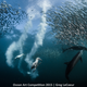 Illustration for article titled These Photos Show the Alien Beauty of Life Underwater